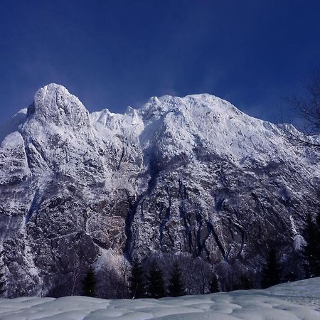 La Marmote Albergo Diffuso Di Paluzza Faas エクステリア 写真